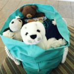 Childhood stuffed animals and new ones comprising a stuffed bear, stuffed dog and a stuffed seal in a Billabong Australia tote